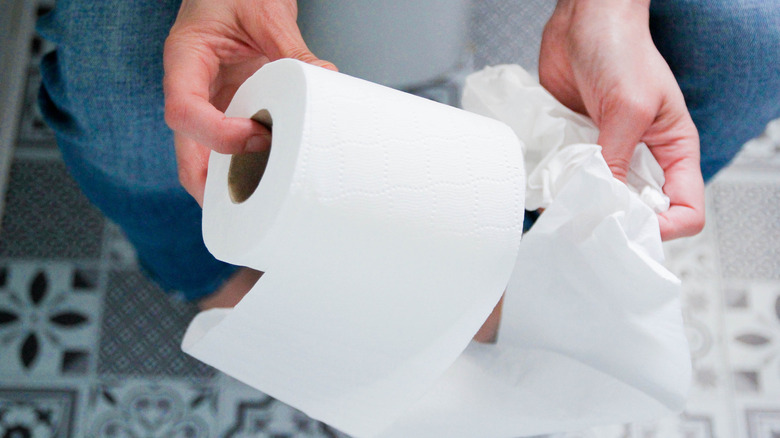 A person holding a roll of toilet paper.