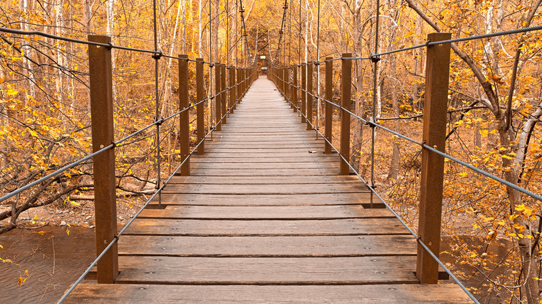 Patapsco Swinging Bridge