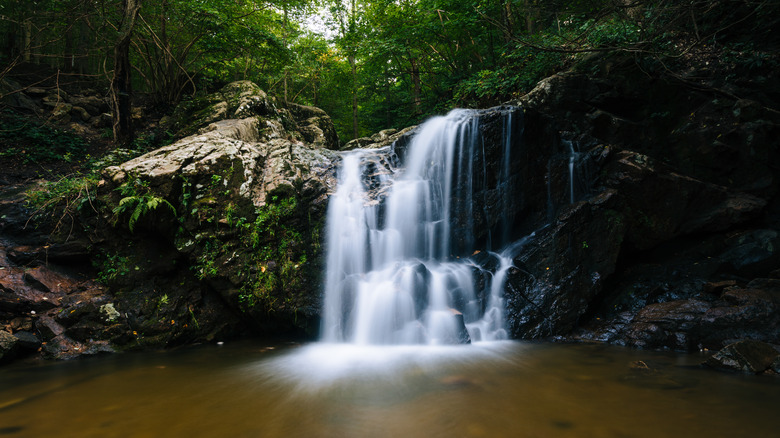 Waterfall in Patapsco Valley Park