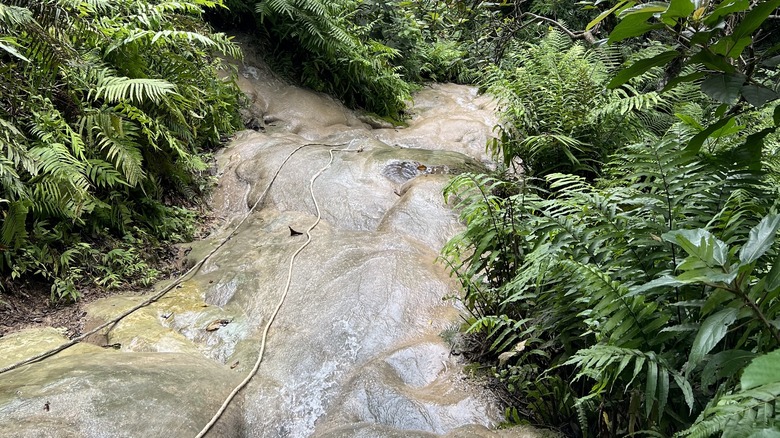 Visit The Sticky Waterfall In Thailand That's Easily Climbable. Here's How