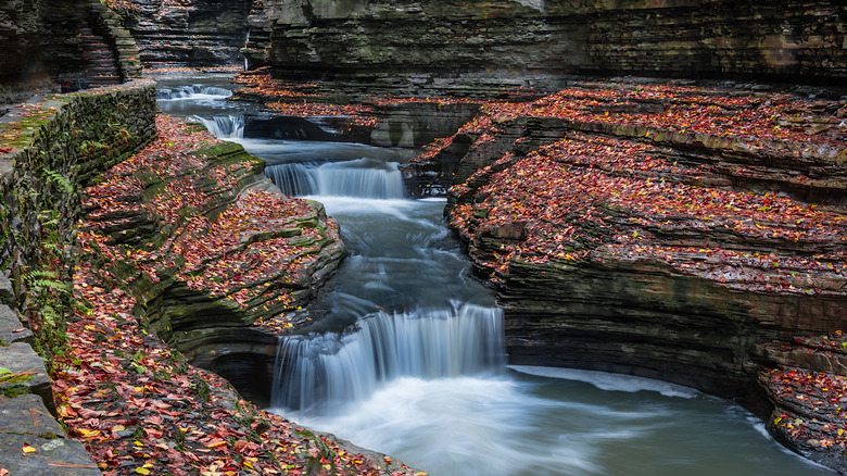 A waterfall in the fall