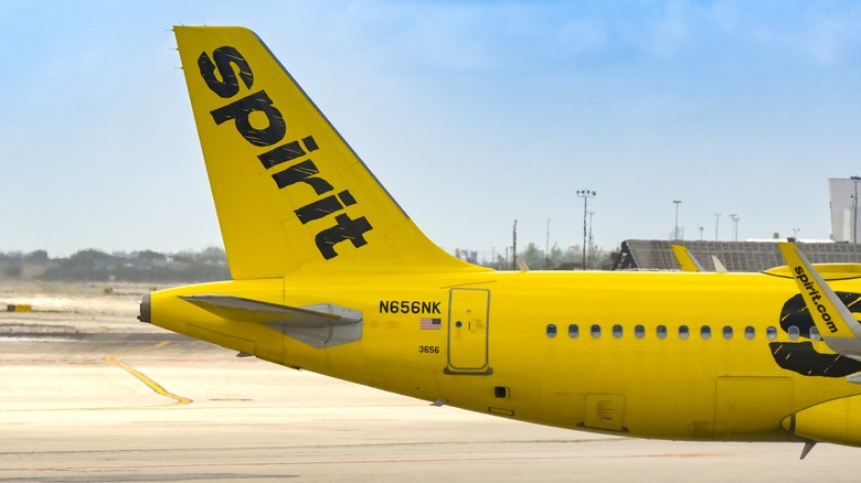 The back half of a Spirit Airlines plane