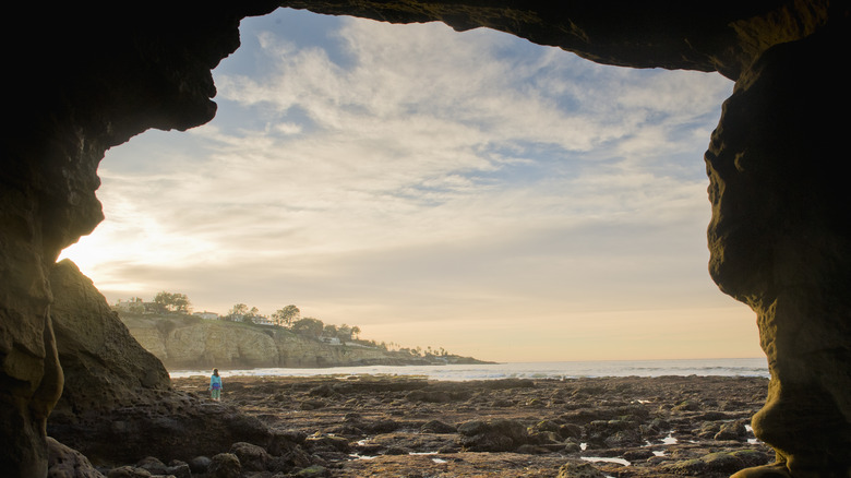 La Jolla sea cave