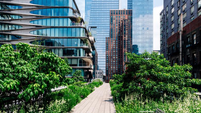 High line park in New York City