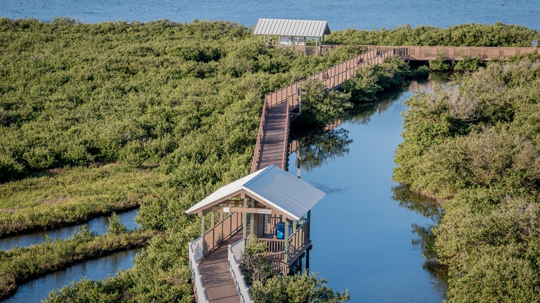 Boardwalk on South Padre Island