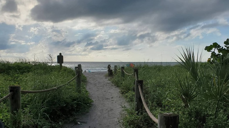 Path to Turtle Beach, Florida