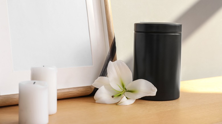 White flower next to black urn