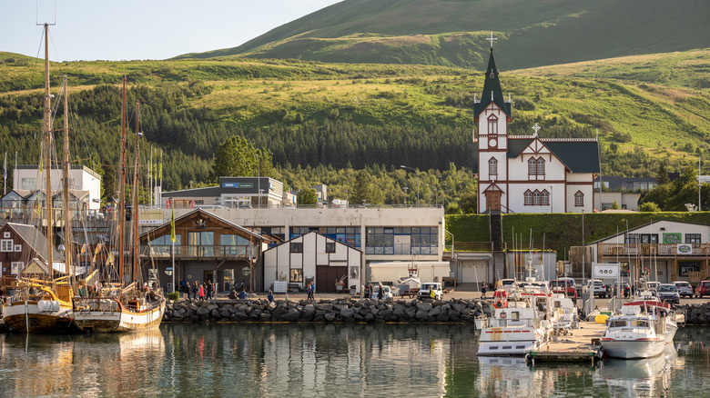 Húsavík harbor and landscape