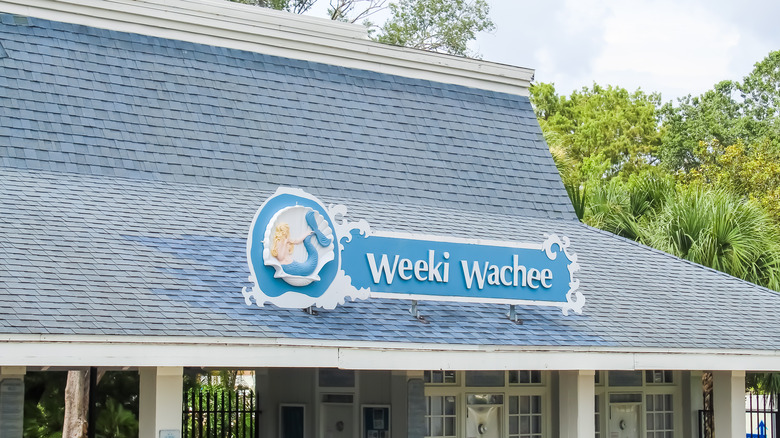 weeki wachee