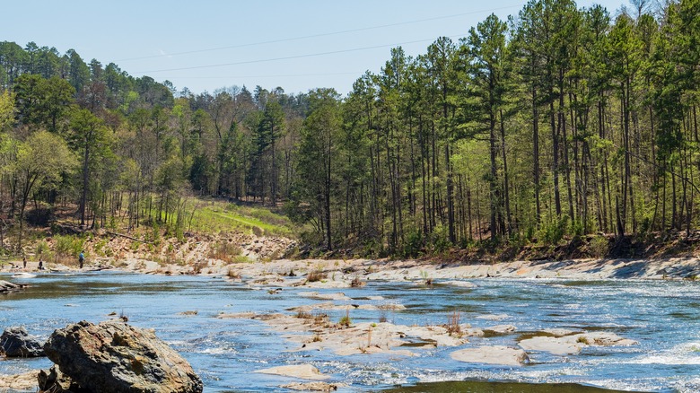 Riving flowing near trees