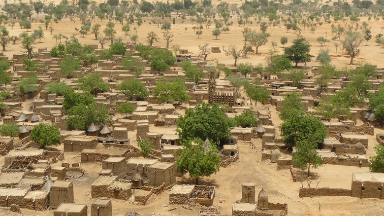 village Mali trees