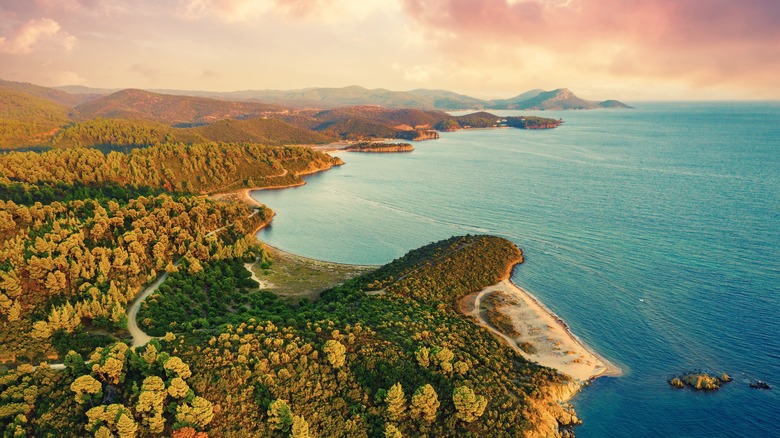 The coast of Halkidiki