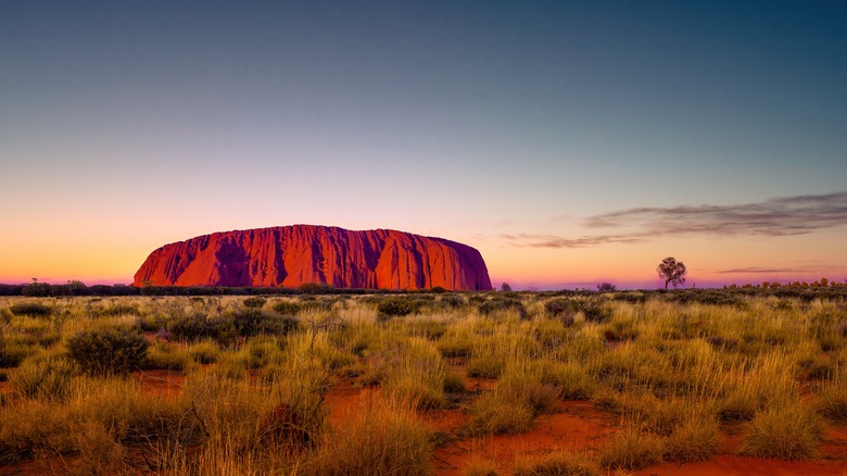 Uluru at sunset