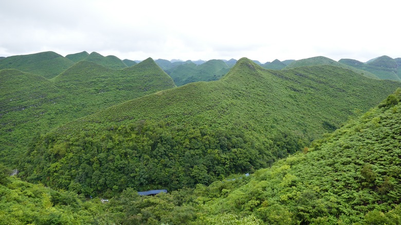 lush green mountains in China