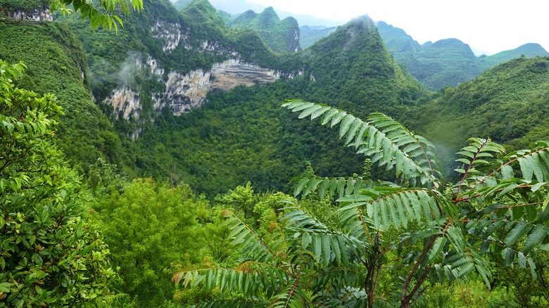 Xiaozhai Tiankeng, China