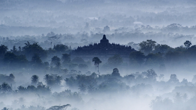 Temple jungle sunrise mist