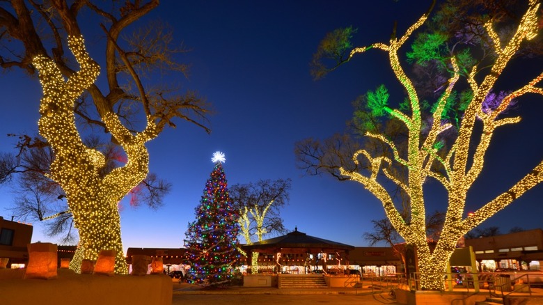 Taos, New Mexico trees with lights 
