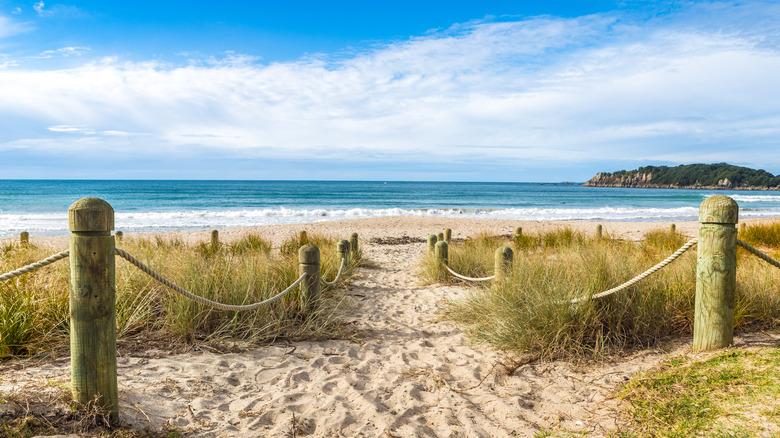 Mount Maunganui Beach, New Zealand