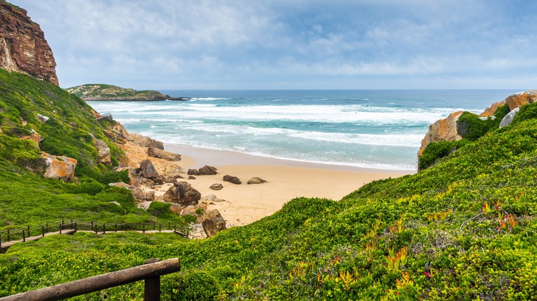 Robberg Marine Protected Area