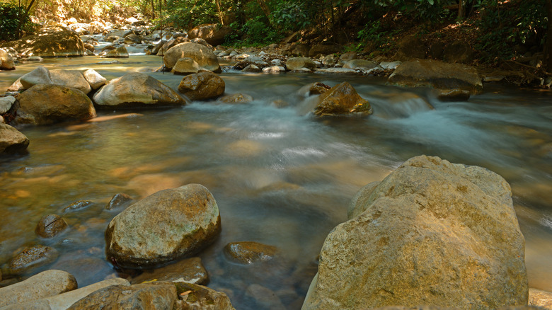 Rincon de la Vieja National Park