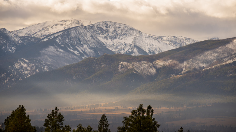 Misty mountains in Bitterroot Forest