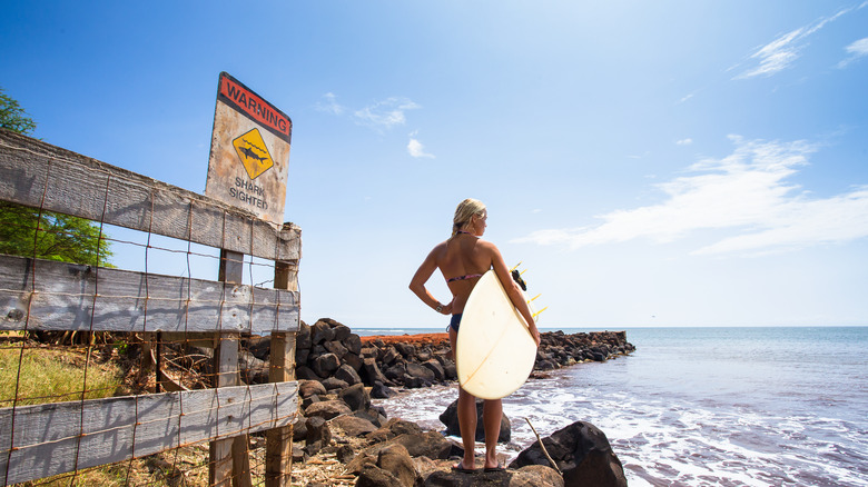 Surfer and shark warning sign