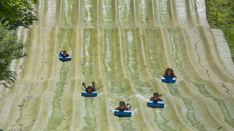 guests on green water slide