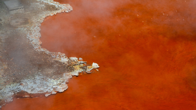 Red mud pool at Beppu Hot Springs, Japan