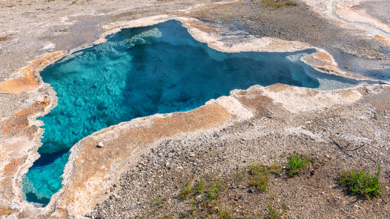 Blue Star Spring in Wyoming