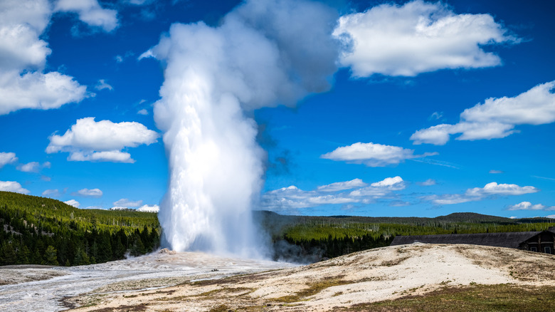 Old Faithful erupting