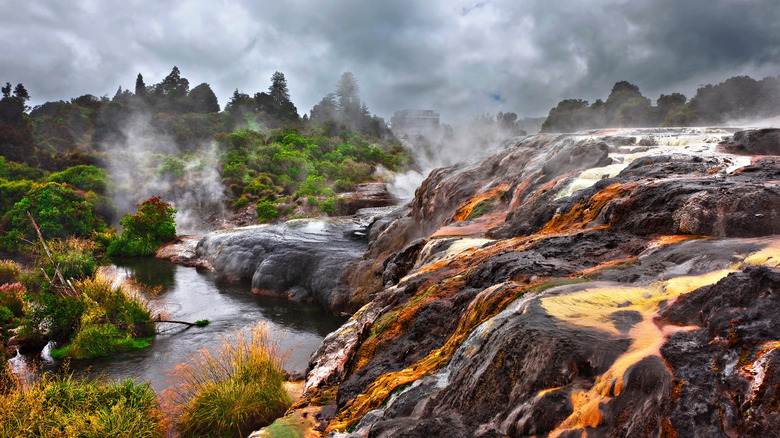 Hot springs in Rotorua, New Zealand