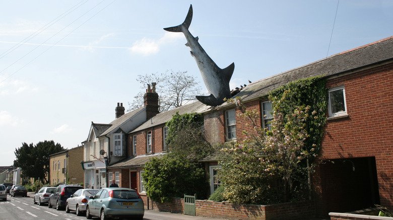The iconic rooftop shark sculpture