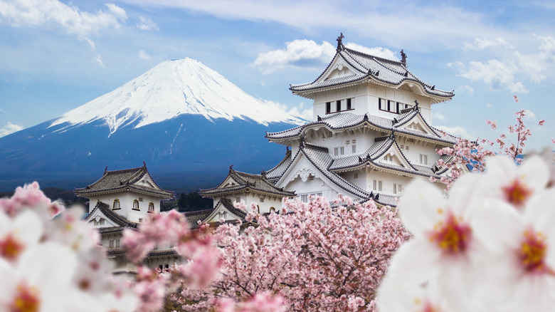 Castle and cherry blossom in Osaka