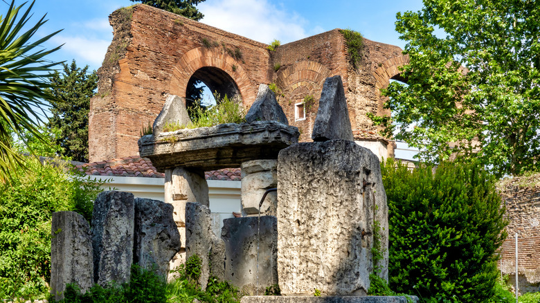 stone ruins among plants