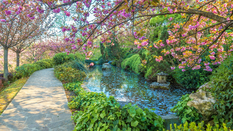 concrete path, pond, and flowers