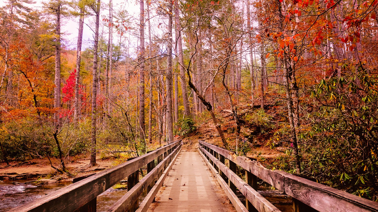 boardwalk area at Abrams Falls Trail