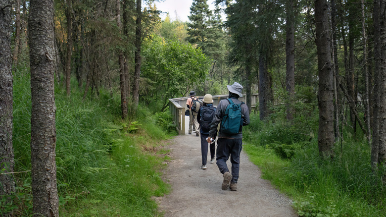 hikers on Brooks Falls Trail