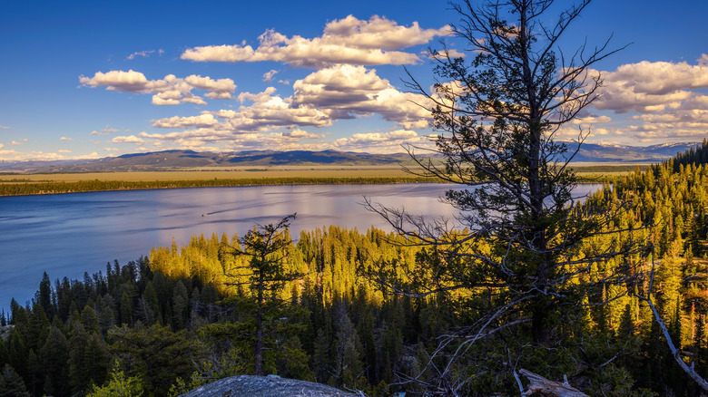 a sunset view at Jenny Lake Loop