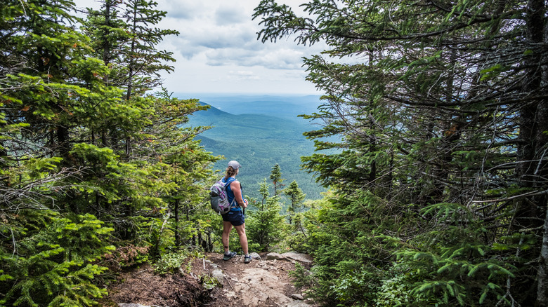 person overlooking a part of the Appalachian Trail in Maine