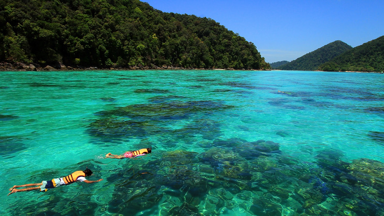 Snorkeling around Surin Islands