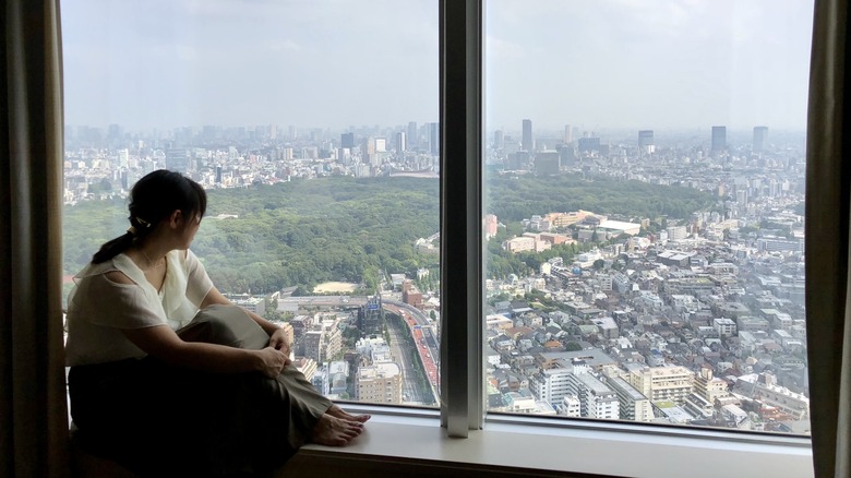 Park Hyatt Tokyo Room View