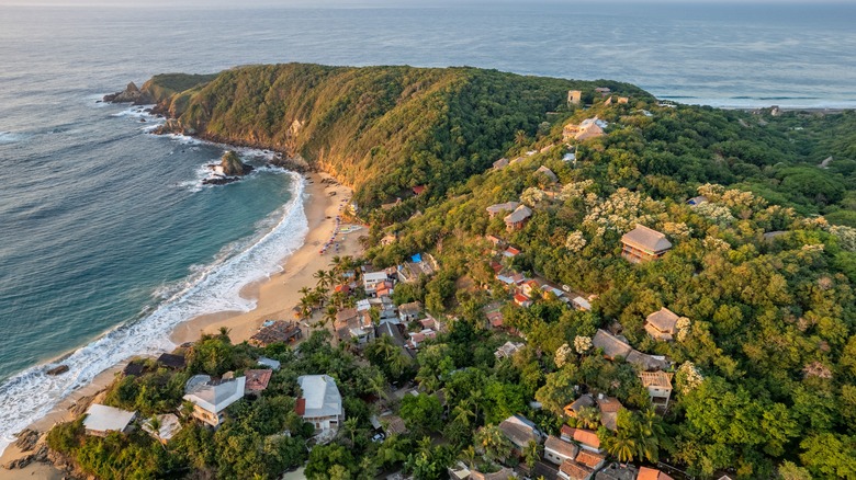 Rugged lush green coast