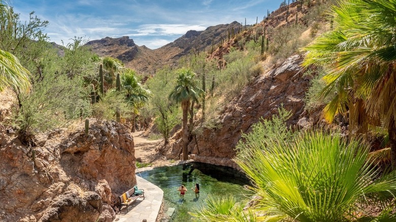 Hot springs at the resort