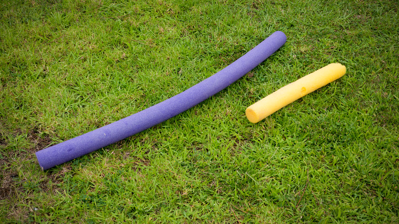 Two pool noodles in grass