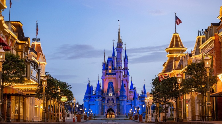 Iconic view of Disney World