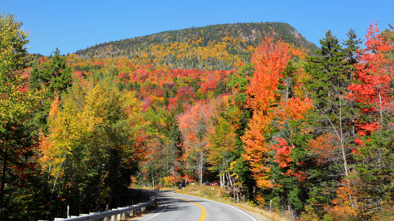  Kancamagus Highway surrounded by fall folliage