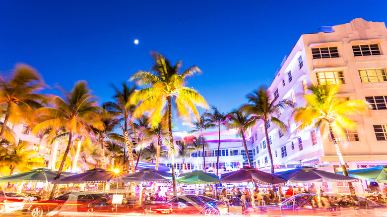 Miami nightlife