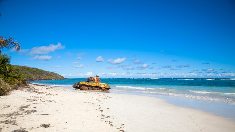 Mosquito Bay sand and water