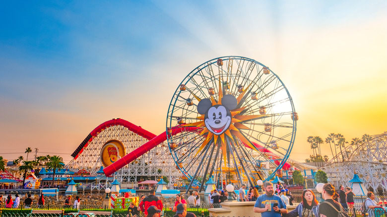 Disneyland Ferris wheel and rides