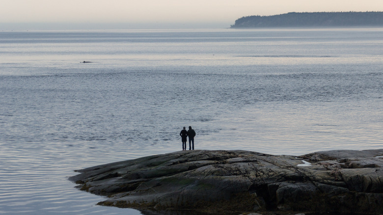 People watching whales from land